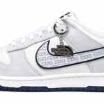 Nike Dunk Low x The North Face