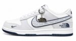Nike Dunk Low x The North Face